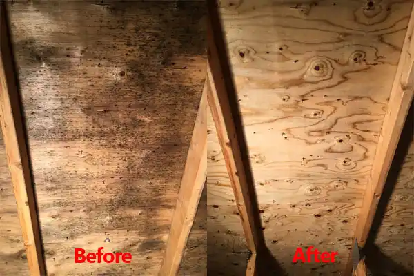 water damage restoration service Monticello